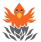 Phoenix Primary Firebird