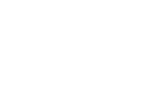BASIS Charter Schools Logo White