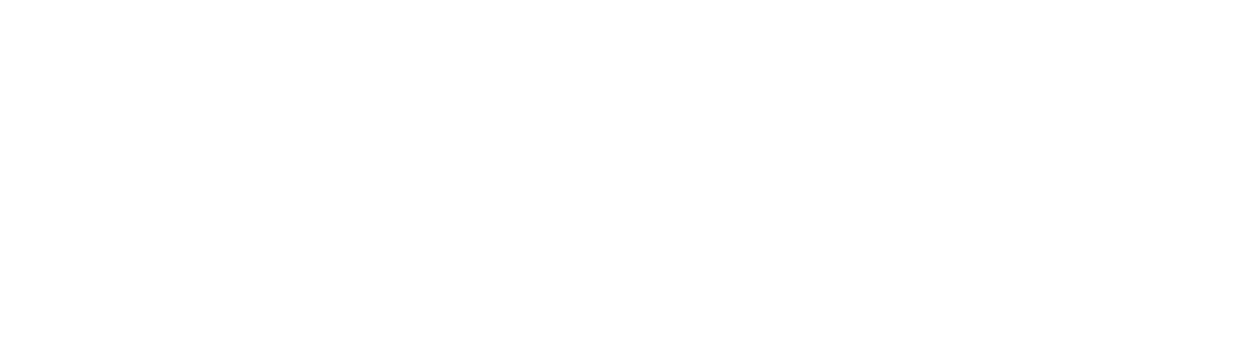 Basis-charter-school-logo-white