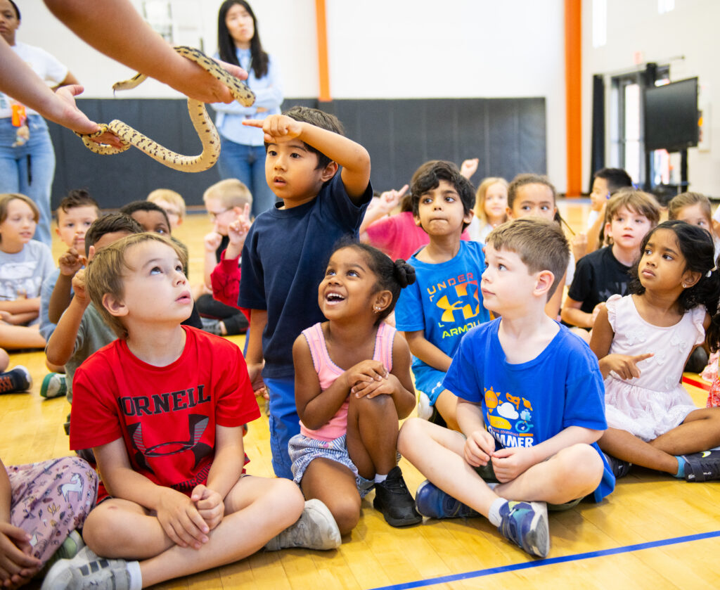 basis-summer-camp_jungle-jill